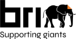 BRIM Logo