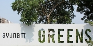 Ayunam Greens