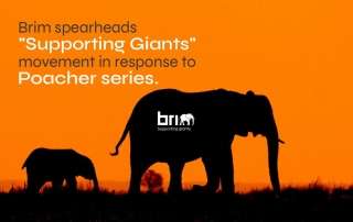 Brim Supporting Giants